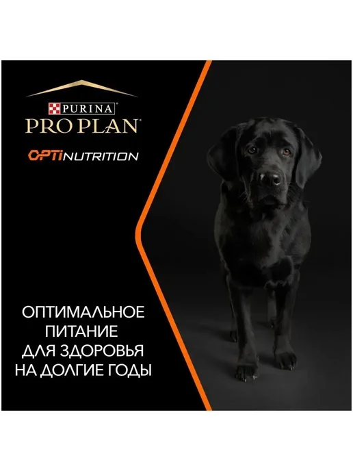 Сухой корм PRO PLAN корм Robust для собак, крупные, курица, 14 кг, фото 6