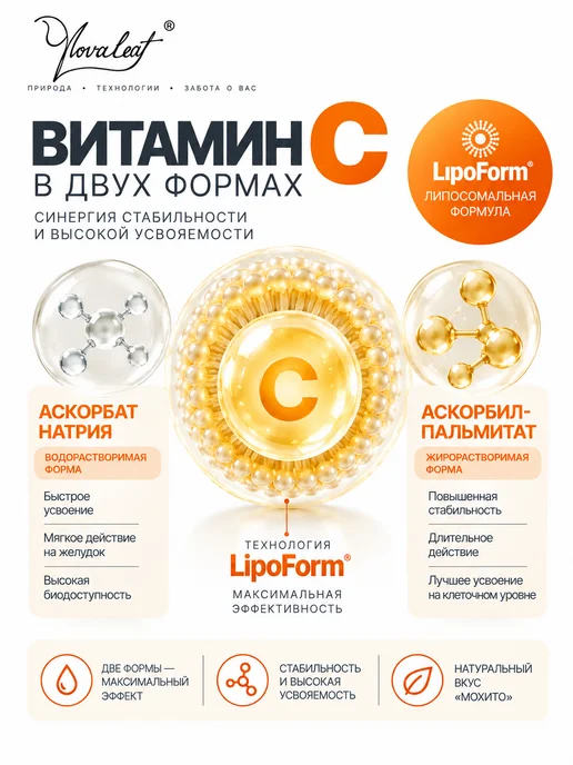 NovaLeaf С-ЛИПОФОРМ 100 липосомальный витамин C 50 мл, 50 мл, фото 3