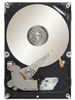 seagate Жесткий диск ST1000VM002