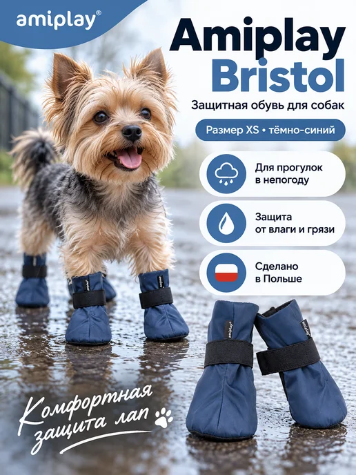 Amiplay Bristol ботинки для собак, темно-синие, XS, синий, фото 2