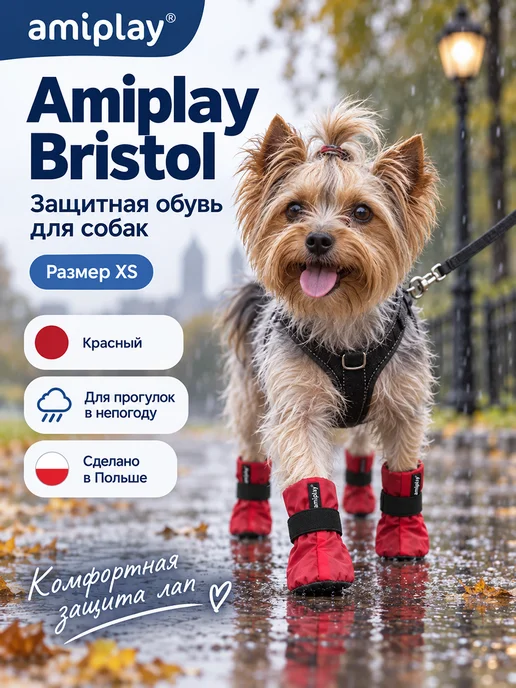 Amiplay Bristol ботинки для собак, темно-синие, XS, красный, фото 2