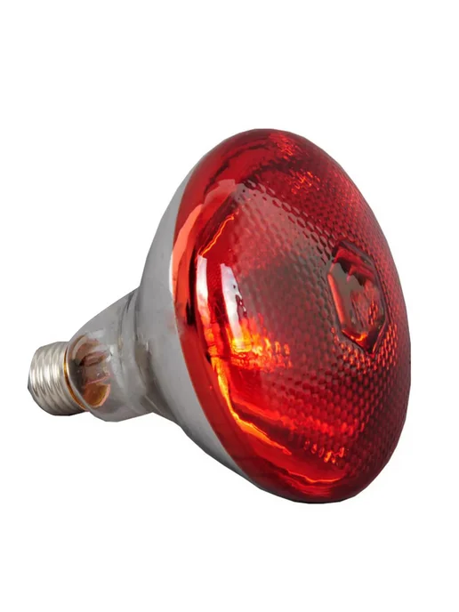 Нет бренда Инфракрасная лампа для птичьих домиков E27 240В 150W, 150 Вт, фото 4
