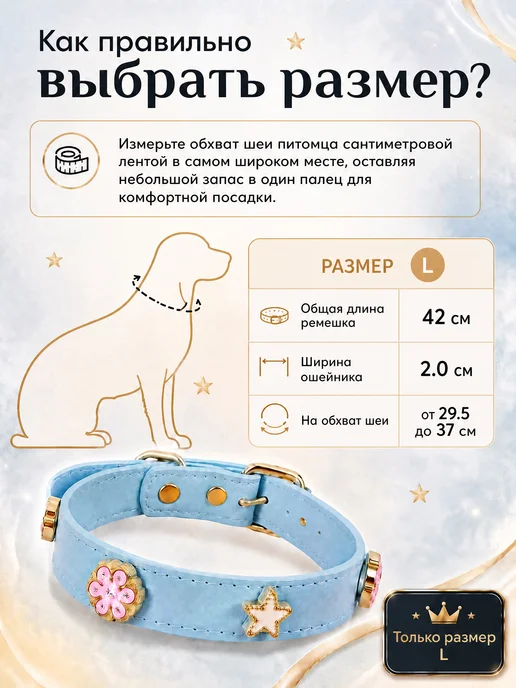 DOGTRAIN Ошейник для собак мелких и средних пород, голубой, фото 3