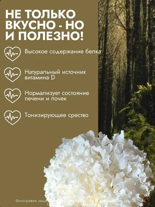 Сушеные древесные грибы, 102 г, 102 г, фото 2
