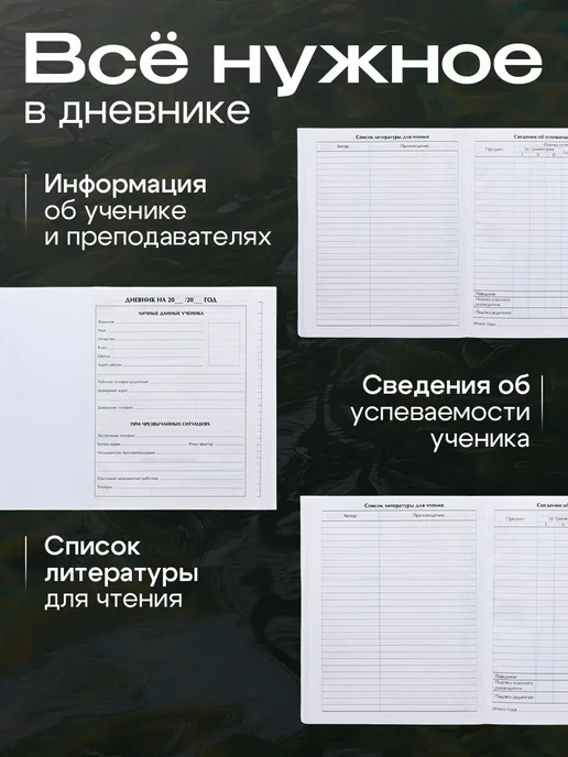 Дневник школьный, 1-11 класс, вариант, фото 4