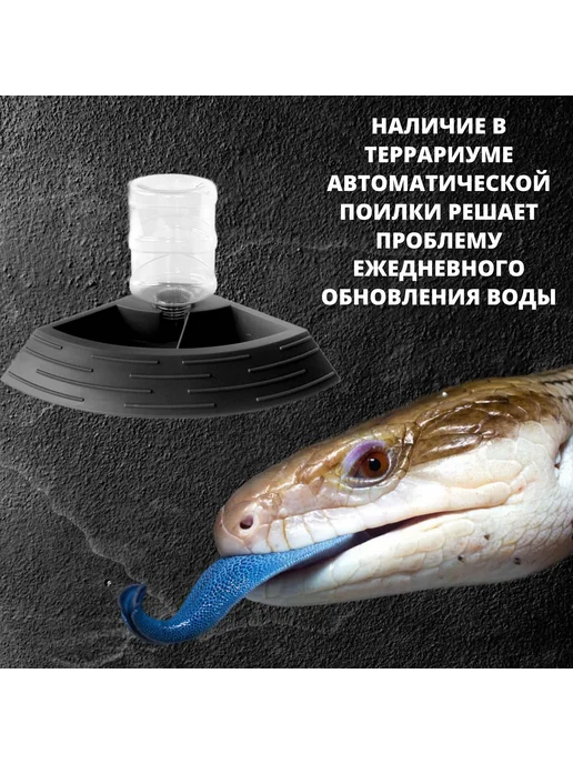 Нет бренда Угловая автоматическая поилка для рептилий 550 мл, 550 мл, фото 2