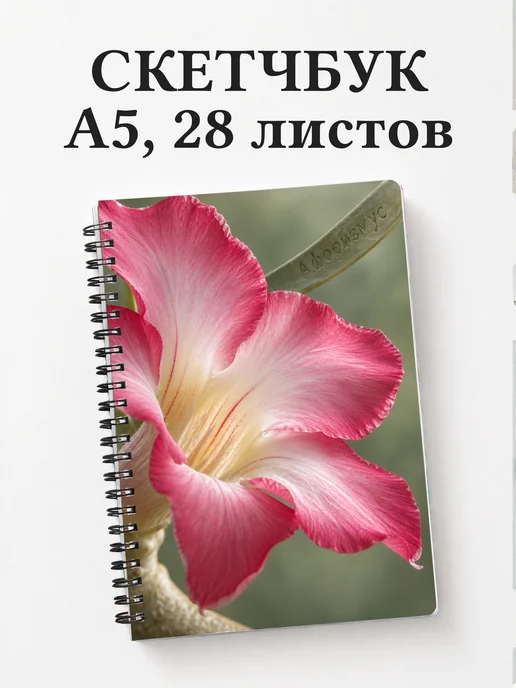 Скетчбук Адениумы