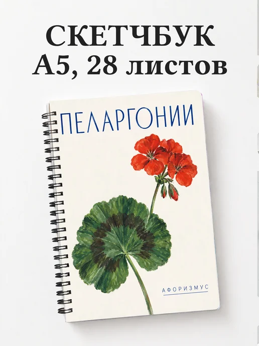 Скетчбук Пеларгонии