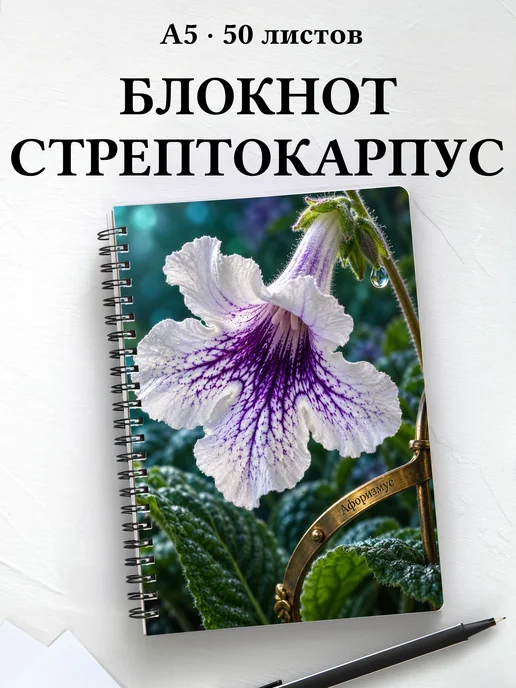 Блокнот Стрептокарпусы с мотивирующими цитатами