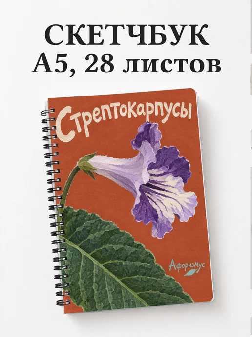 Скетчбук Стрептокарпусы