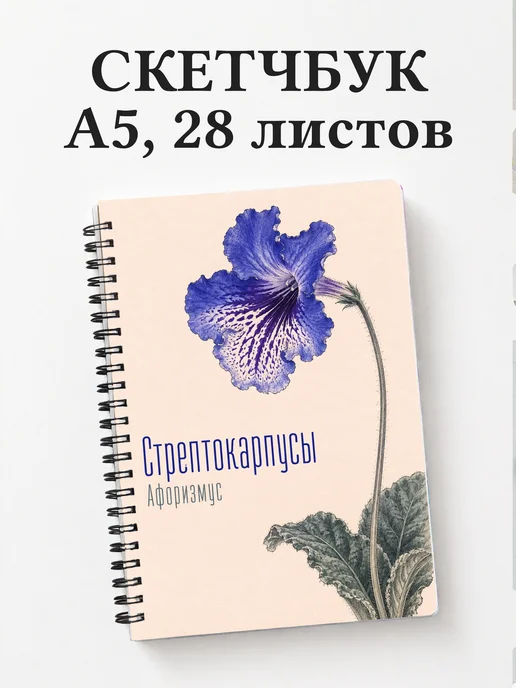 Скетчбук Стрептокарпусы