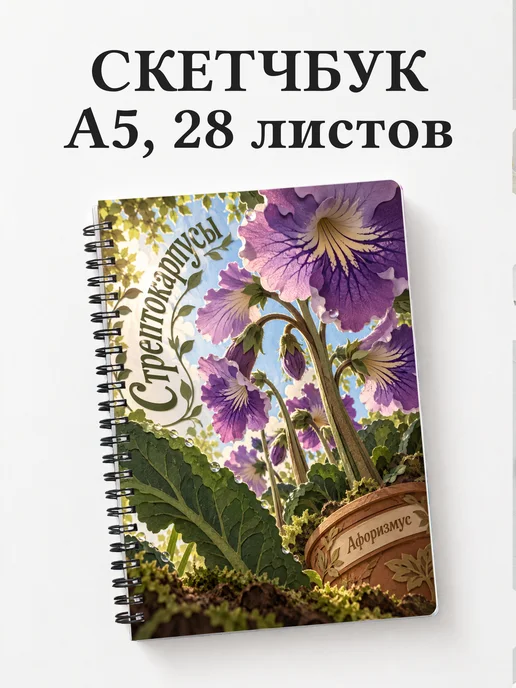 Скетчбук Стрептокарпусы