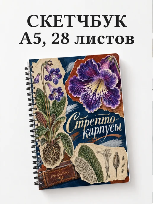 Скетчбук Стрептокарпусы
