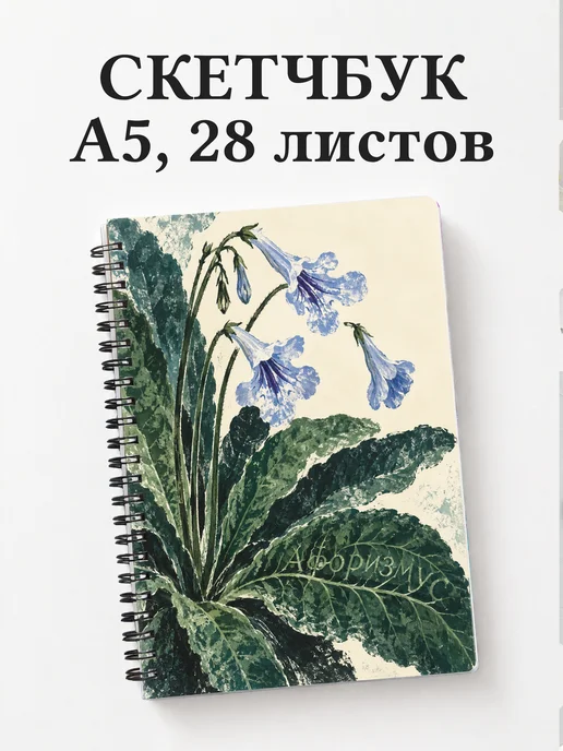 Скетчбук Стрептокарпусы