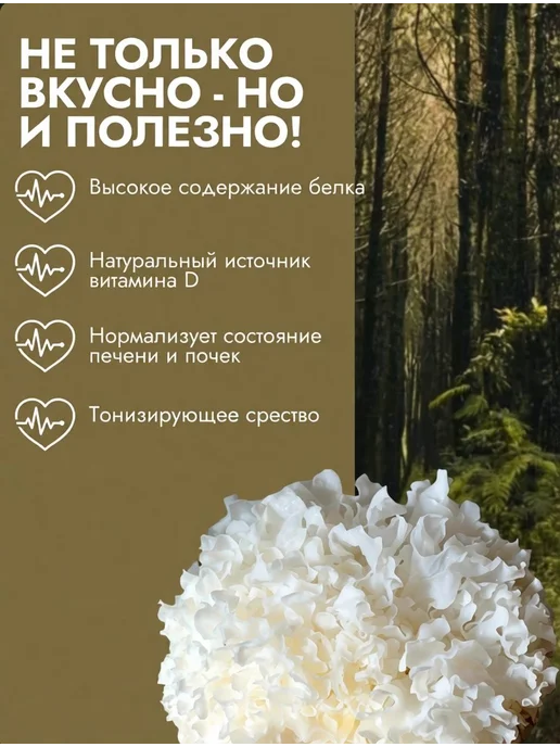 Грибы сушеные Древесные 101г. 1шт, 101 г, 1 шт, фото 2