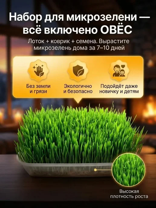 Набор для выращивания микрозелени (овёс), всё включено, вариант